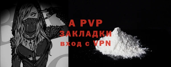 прущие грибы Кулебаки